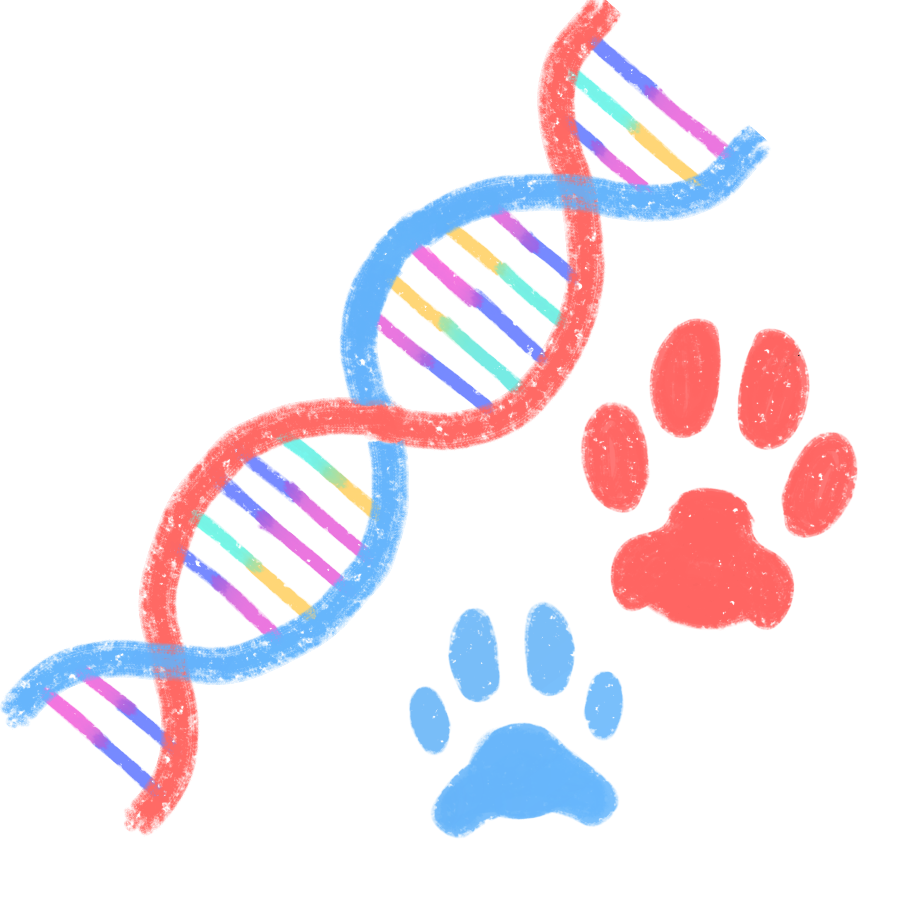 a red and blue DNA helix, next to it on the bottom right are a big red dog paw print and a small blue cat paw print. the whole image is outlined in white